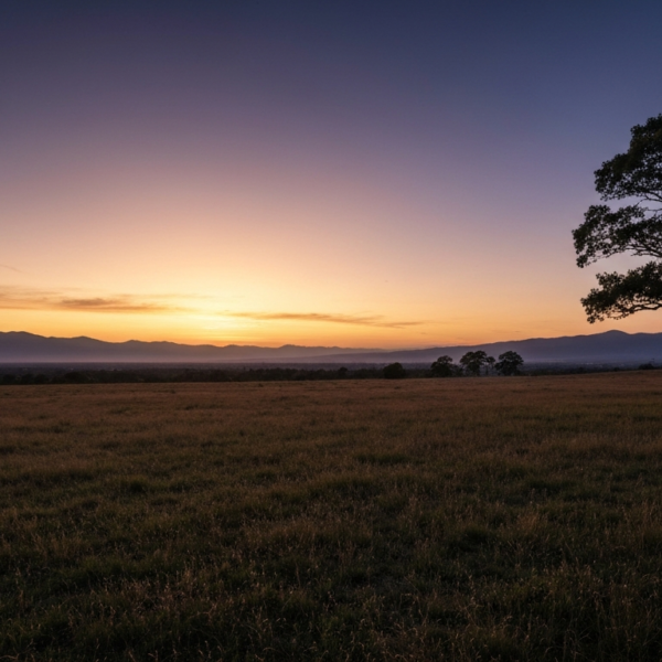 Sny o potędze – co oznaczają i skąd się biorą?